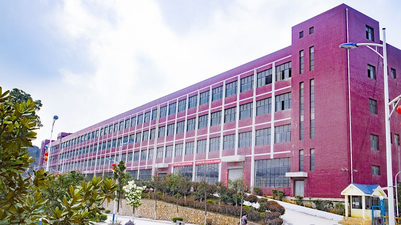 IMG0376001